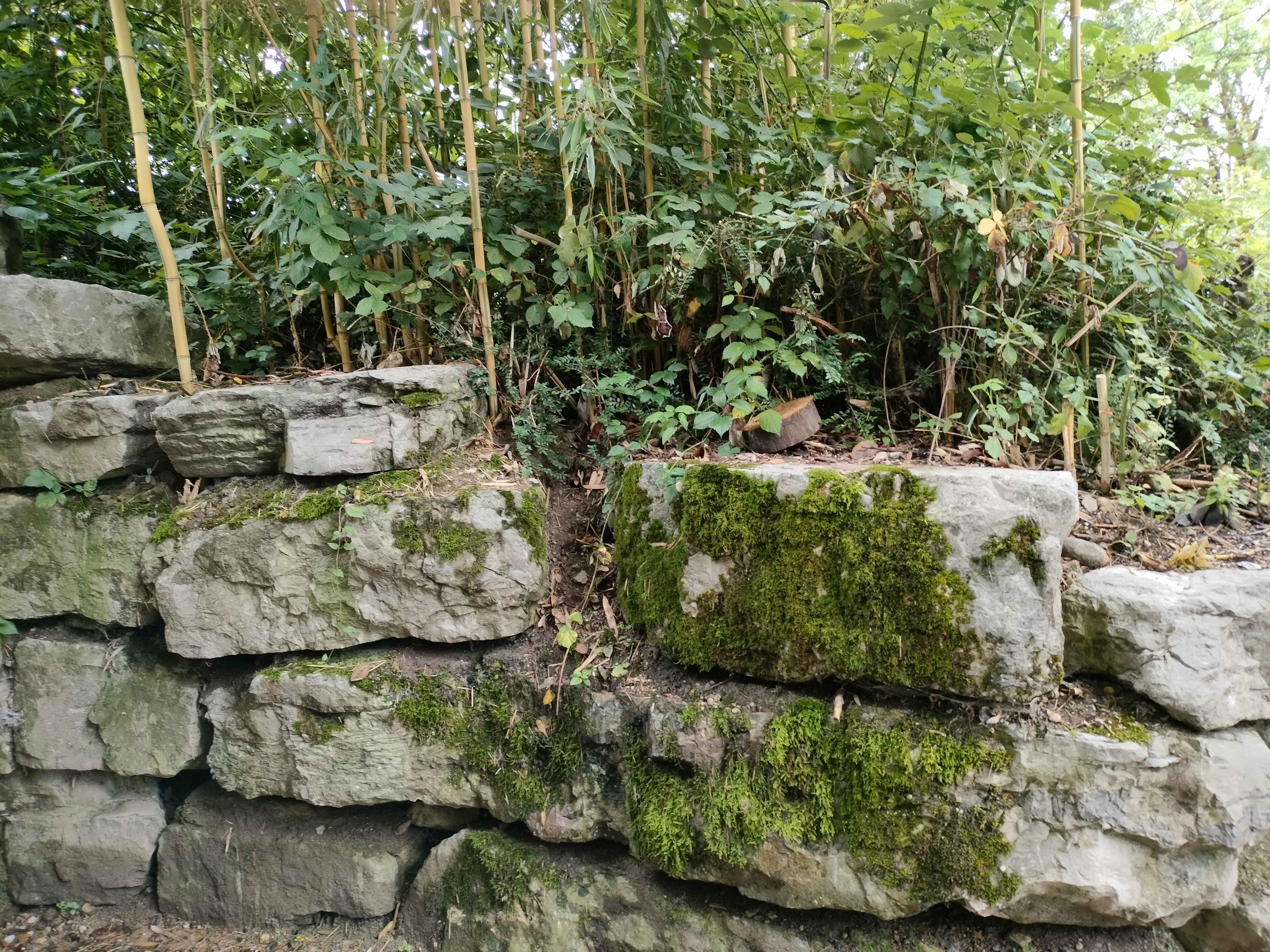Masonry With Bamboo